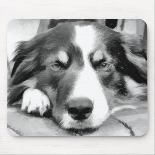 ALFOMBRILLA DE RATÓN BORDER COLLIE