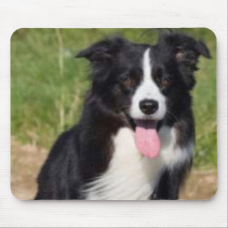 Alfombrilla De Ratón Border collie Mousepad