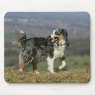 Alfombrilla De Ratón Border collie que jadea 2