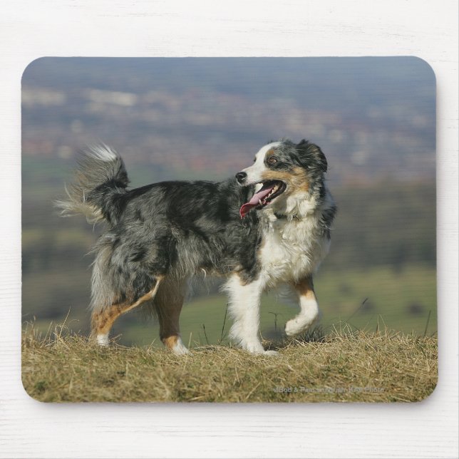 Alfombrilla De Ratón Border collie que jadea 2 (Frente)