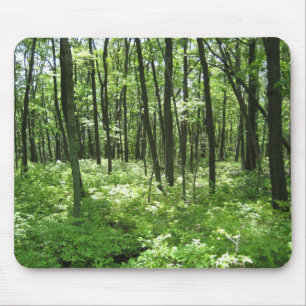 Alfombrilla De Ratón Bosque