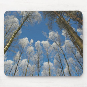 Alfombrilla De Ratón Bosque congelado