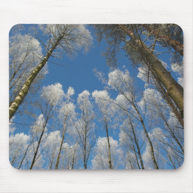 Alfombrilla De Ratón Bosque congelado (Frente)