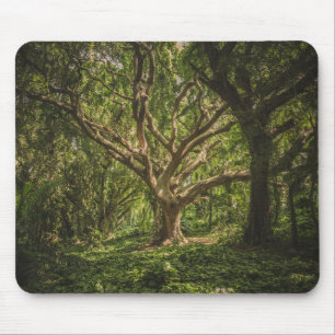 Alfombrilla De Ratón Bosque de árboles grandes