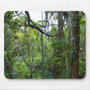 Alfombrilla De Ratón Bosque de lluvias