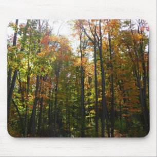 Alfombrilla De Ratón Bosque de Otoño Iluminado por el Sol
