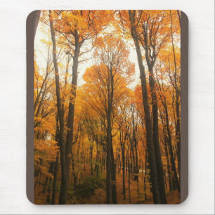 Alfombrilla De Ratón Bosque de otoño naranja