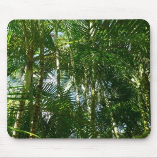 Alfombrilla De Ratón Bosque de palmeras Naturaleza tropical