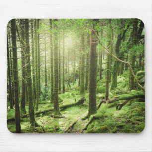 Alfombrilla De Ratón Bosque en el parque nacional el   Kerry, Irlanda