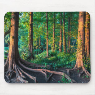 Alfombrilla De Ratón Bosque en verano