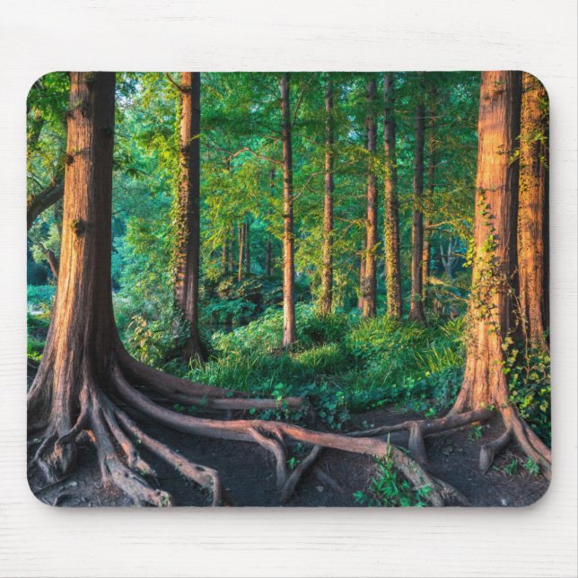 Alfombrilla De Ratón Bosque en verano (Frente)
