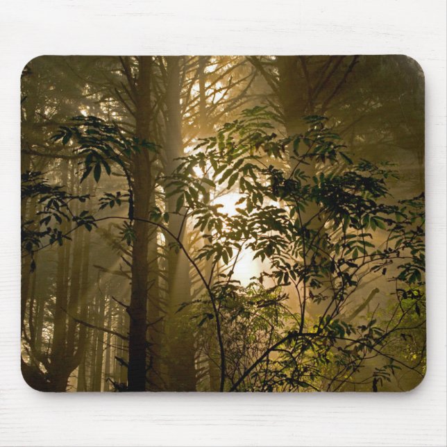 Alfombrilla De Ratón Bosque Evergreen | Costa de Oregón (Frente)