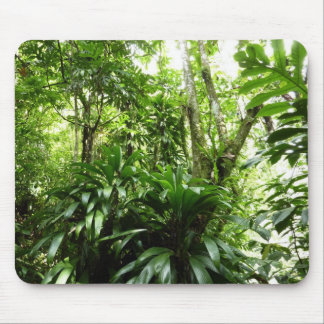 Alfombrilla De Ratón Bosque lluvioso dominicano I Naturaleza tropical v