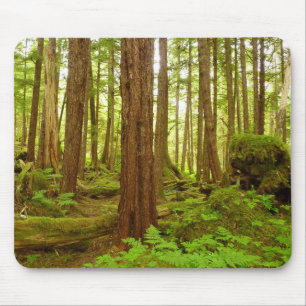 Alfombrilla De Ratón Bosque Lluvioso Templado de Alaska
