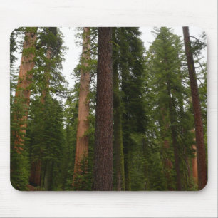 Alfombrilla De Ratón Bosque Mariposa en el Parque Nacional Yosemite