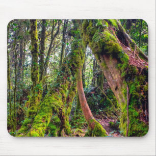 Alfombrilla De Ratón Bosque Musgoso