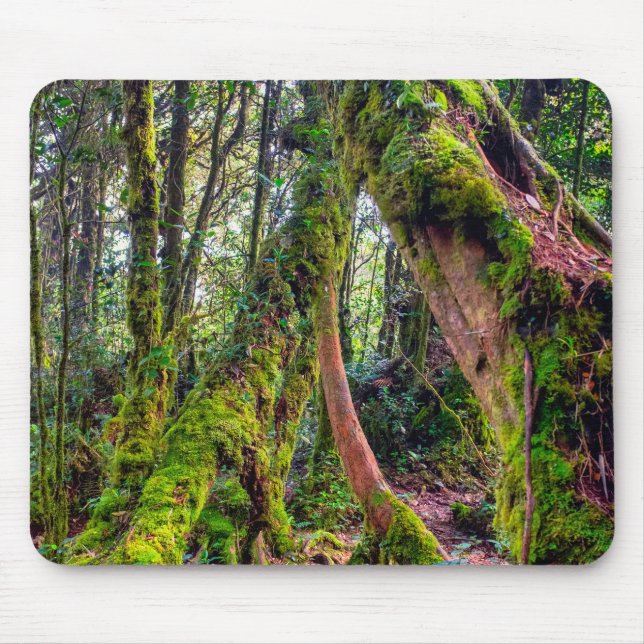 Alfombrilla De Ratón Bosque Musgoso (Frente)