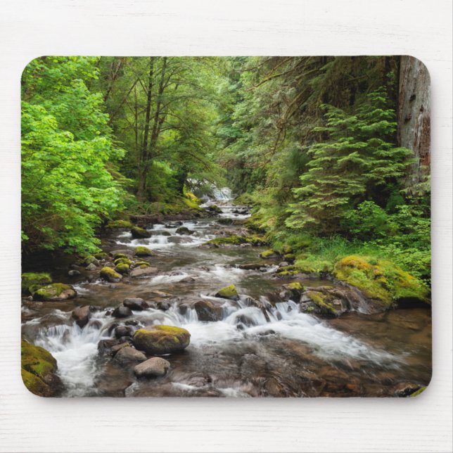Alfombrilla De Ratón Bosque nacional de Siuslaw | Creek dulce (Frente)