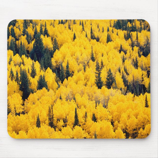 Alfombrilla De Ratón Bosque nacional del río Blanco | Aspen, Colombia (Frente)