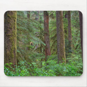 Alfombrilla De Ratón Bosque nacional Willamette   Oregón