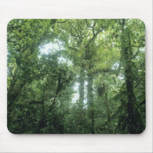 Alfombrilla De Ratón Bosque Nuboso de Monteverde, Costa Rica.