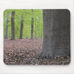 Alfombrilla De Ratón Bosque, Países Bajos