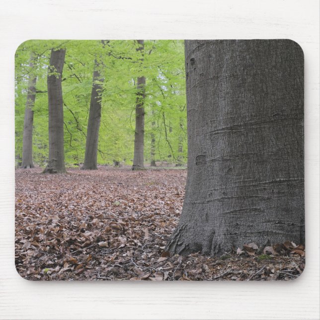 Alfombrilla De Ratón Bosque, Países Bajos (Frente)