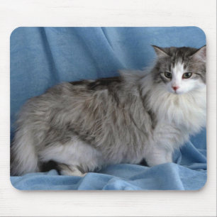 Alfombrilla De Ratón Bosque, plata, tabby y blanco noruegos