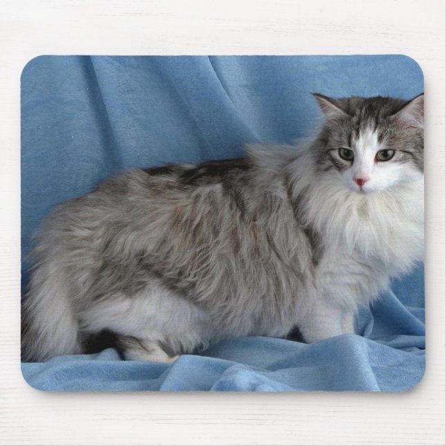 Alfombrilla De Ratón Bosque, plata, tabby y blanco noruegos (Frente)