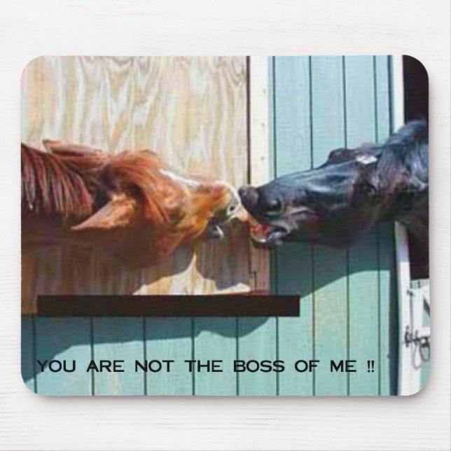 ALFOMBRILLA DE RATÓN BOSS (Frente)