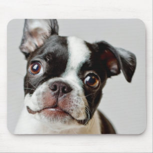 Alfombrilla De Ratón Boston Terrier