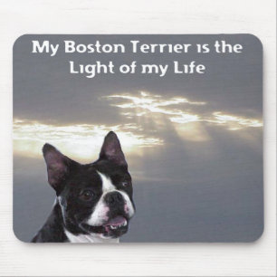 Alfombrilla De Ratón Boston Terrier: Luz de mi vida