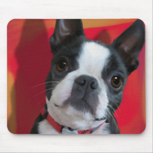 Alfombrilla De Ratón Boston Terrier Mousepad