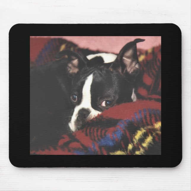 Alfombrilla De Ratón Boston Terrier:  Peekaboo (Frente)