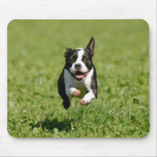 Alfombrilla De Ratón Boston Terrier que corre Mousepad