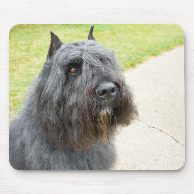 Alfombrilla De Ratón Bouvier des Flandres (Frente)
