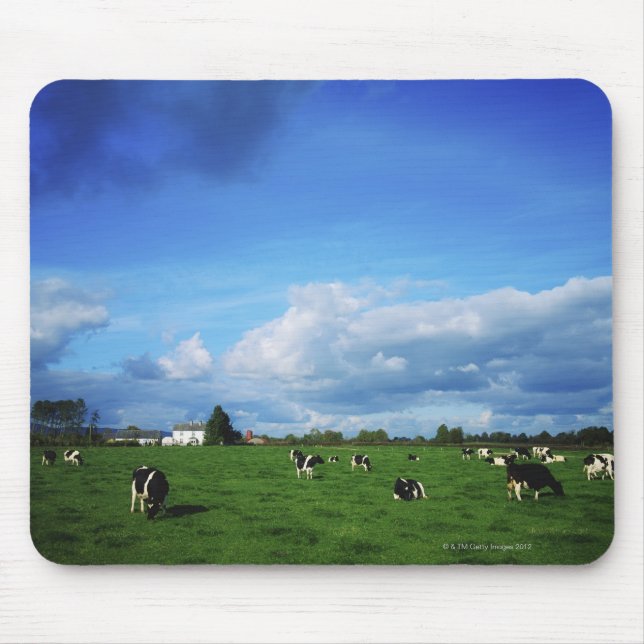 Alfombrilla De Ratón Bovino Holstein-Friesian cerca de Thurles, Co (Frente)