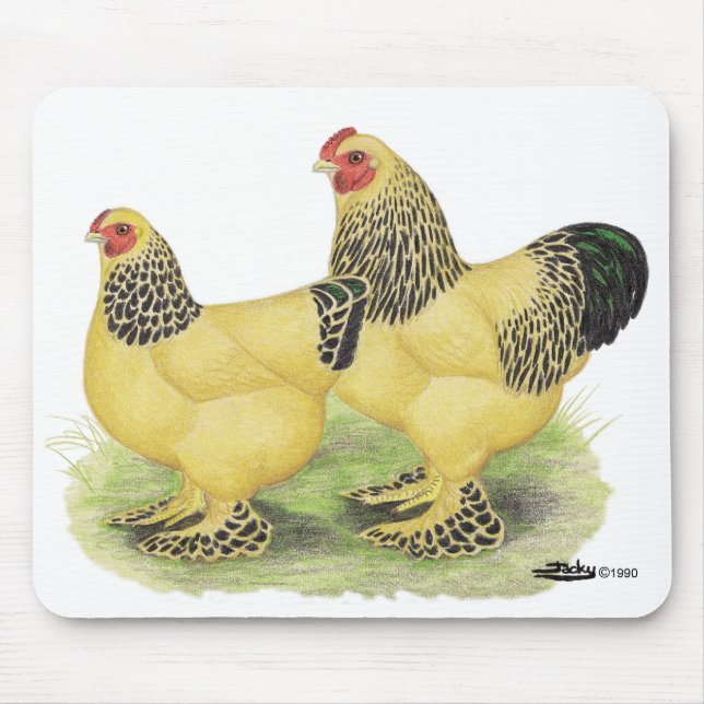 Alfombrilla De Ratón Brahma Buff Pair (Frente)