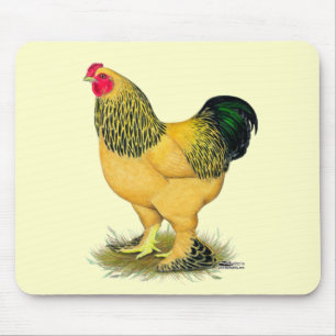 Alfombrilla De Ratón Brahma:  Buff Rooster