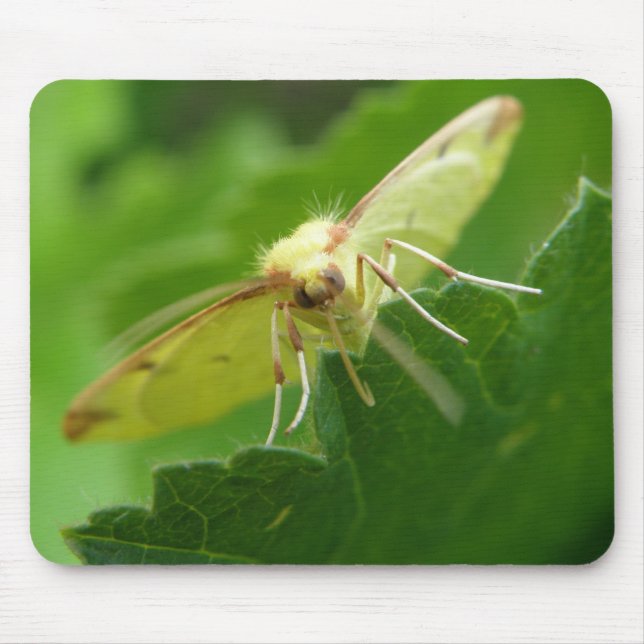 Alfombrilla De Ratón Brimstone Moth Mousepad (Frente)
