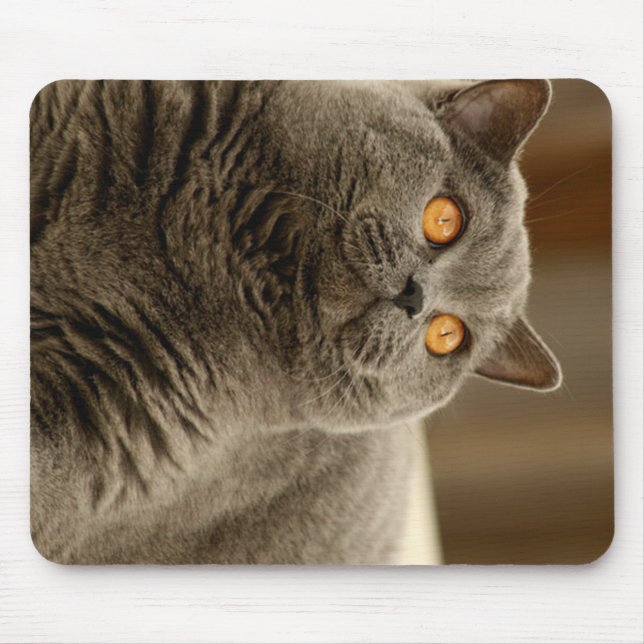 Alfombrilla De Ratón british shorthair azul (Frente)