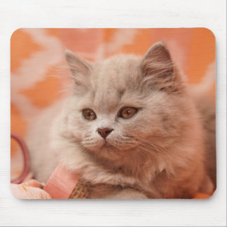 Alfombrilla De Ratón British shorthair, British longhair, Lila