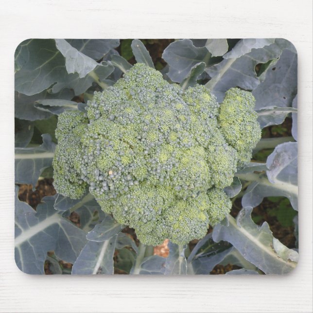 Alfombrilla De Ratón Broccoli Mousepad (Frente)
