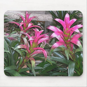 Alfombrilla De Ratón Bromeliad Mouspad