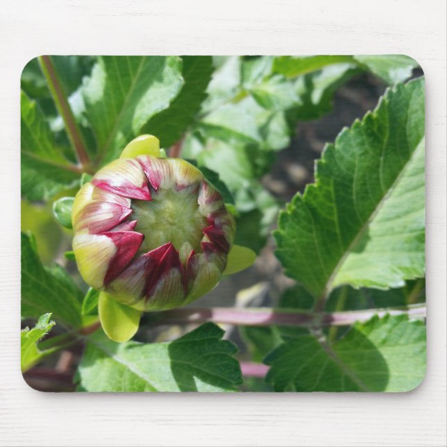 Alfombrilla De Ratón brote de otoño (Frente)