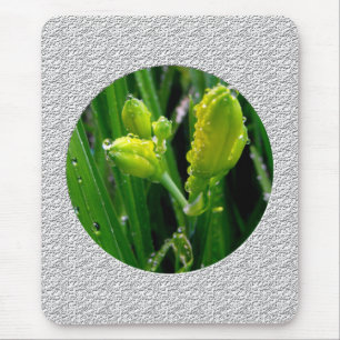 Alfombrilla De Ratón brotes de lirios verdes de primavera
