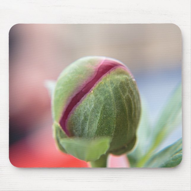 Alfombrilla De Ratón Bud de un Peony/Pfingstrosen (Frente)