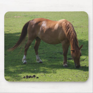 Alfombrilla De Ratón Buda de caballo marrón