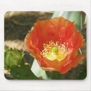 Alfombrilla De Ratón Buda de flor de cactus naranja