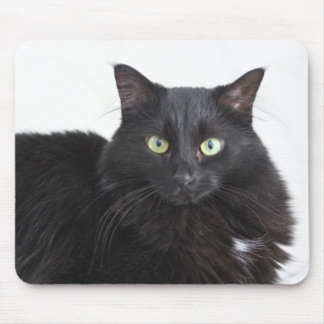 Alfombrilla De Ratón Buda de gato negro (Frente)